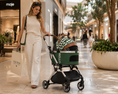 Load image into Gallery viewer, The Bello Pet Carriage
